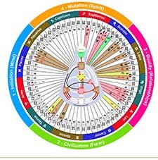 Human design rave mandala